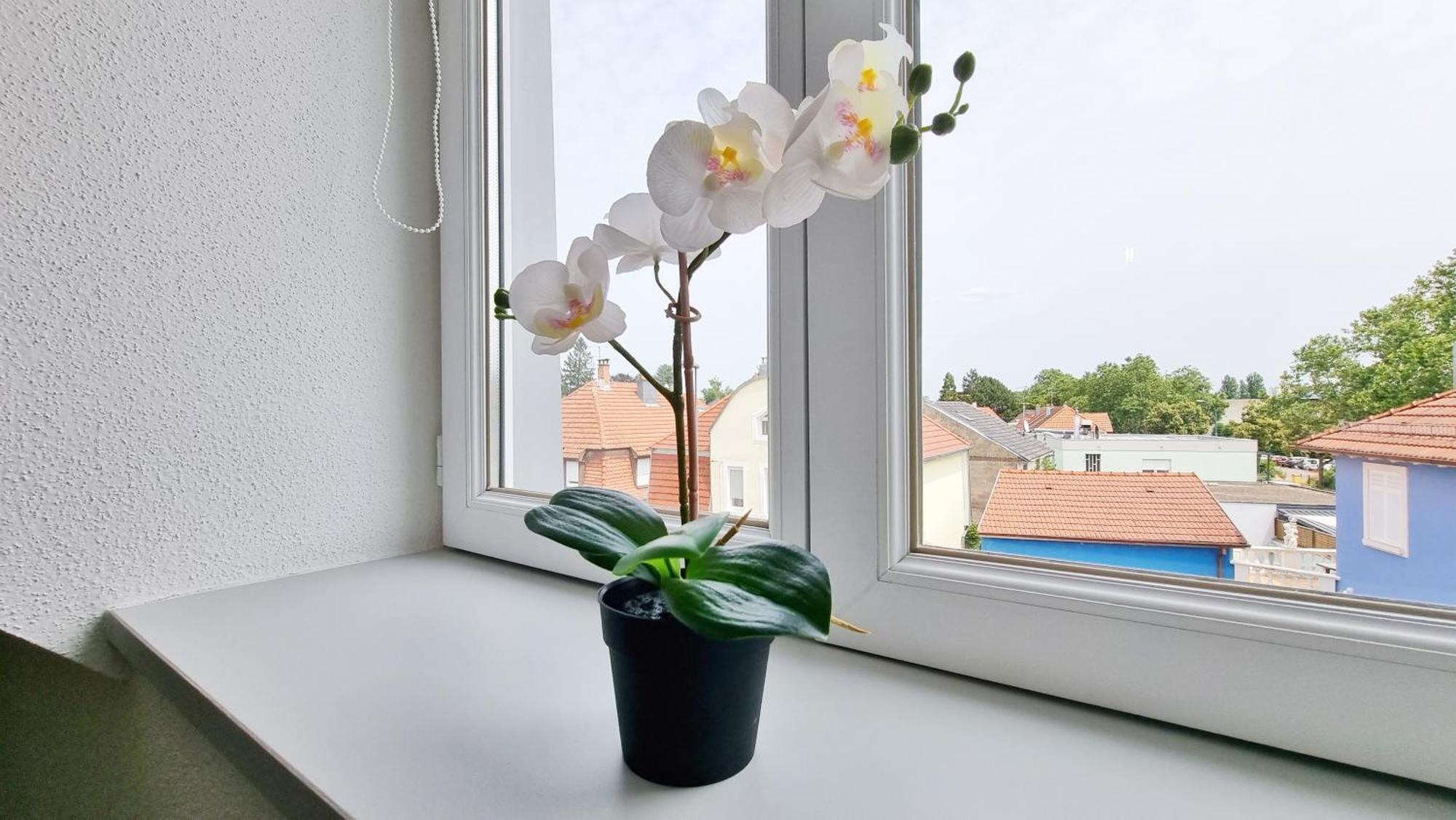Le Triplex - 5 Chambres - 10 Pers- Fibre - Relax Bnb Mulhouse Esterno foto